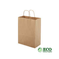 10 x 5 x 13in Paper Bag (250/case)